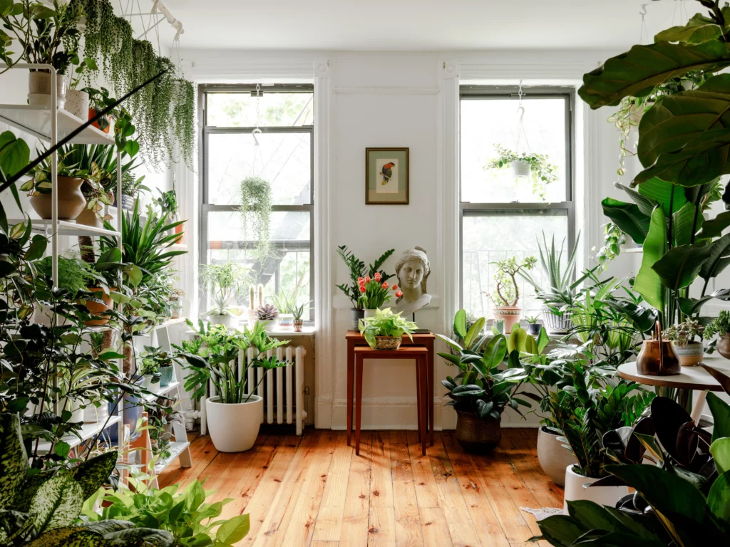 10 Interior Design Ideas to Create a Coastal Oasis in Your Shore Home, big lucious indoor plants in a beautiful home.
