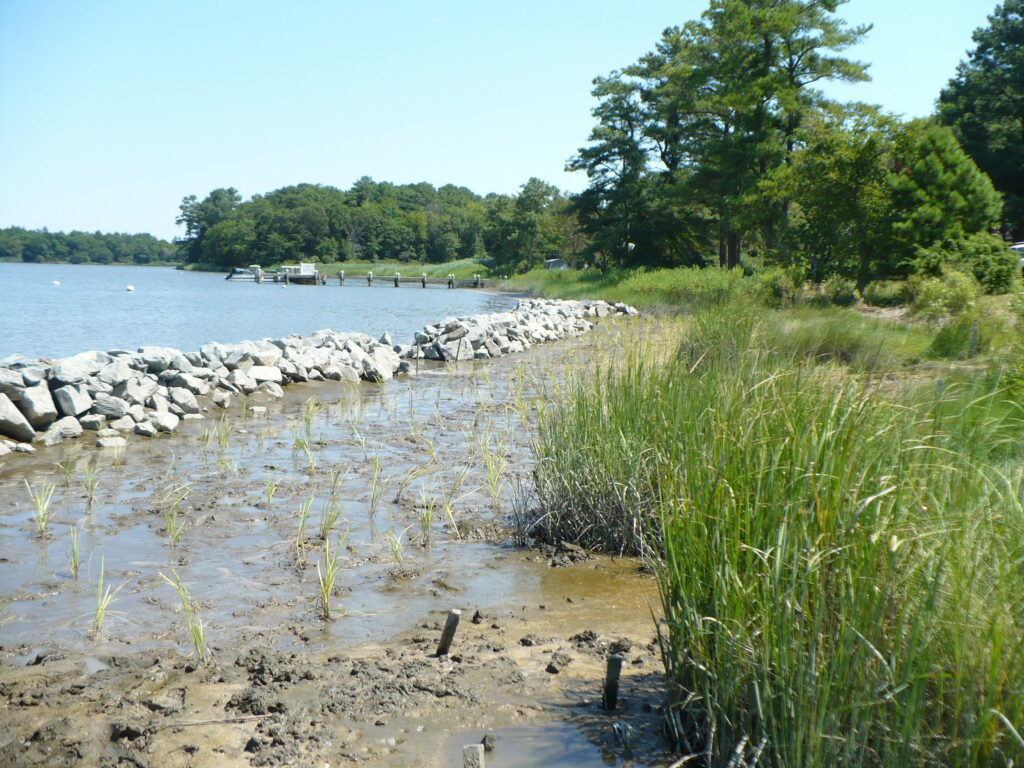 Here's Why You Should Think About Environmental Factors When Buying a Shore Home, Living Shorelines.